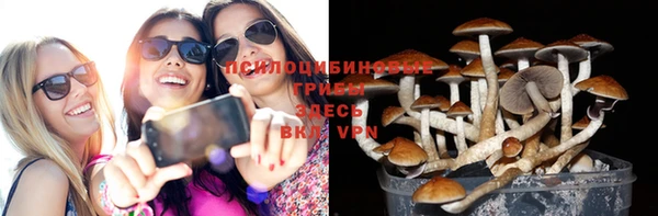 Альфа ПВП Арсеньев