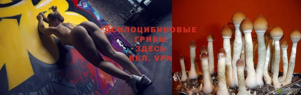 Альфа ПВП Арсеньев